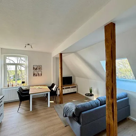 Robbe Beim Ochsenturm Am Deich *