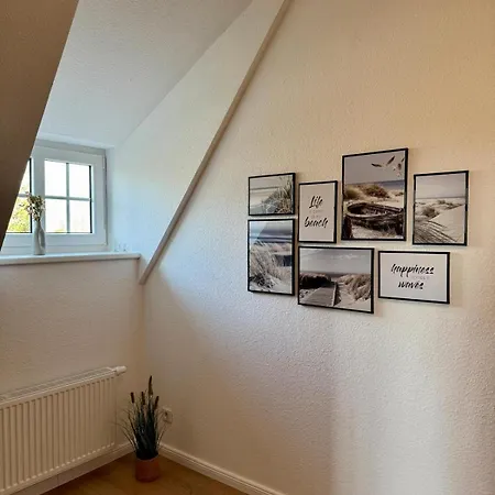 Robbe Beim Ochsenturm Am Deich *