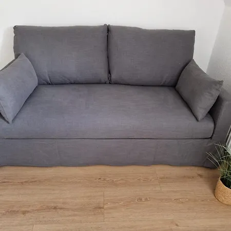 Robbe Beim Ochsenturm Am Deich