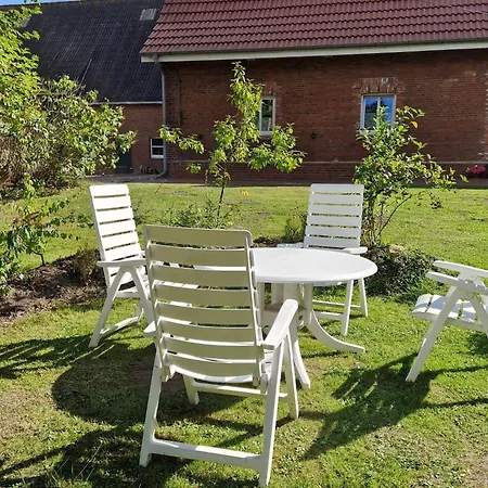 Robbe Beim Ochsenturm Am Deich *