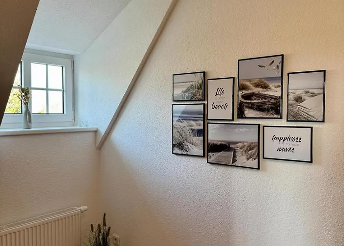 Robbe Beim Ochsenturm Am Deich *