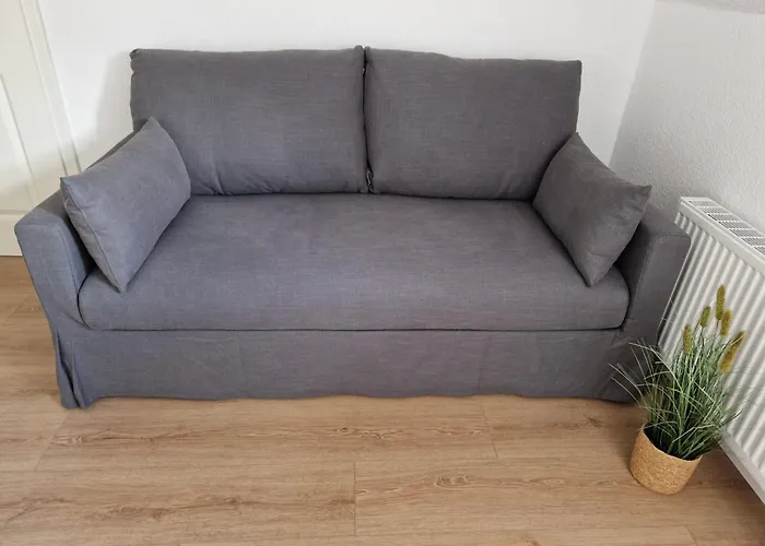 Robbe Beim Ochsenturm Am Deich